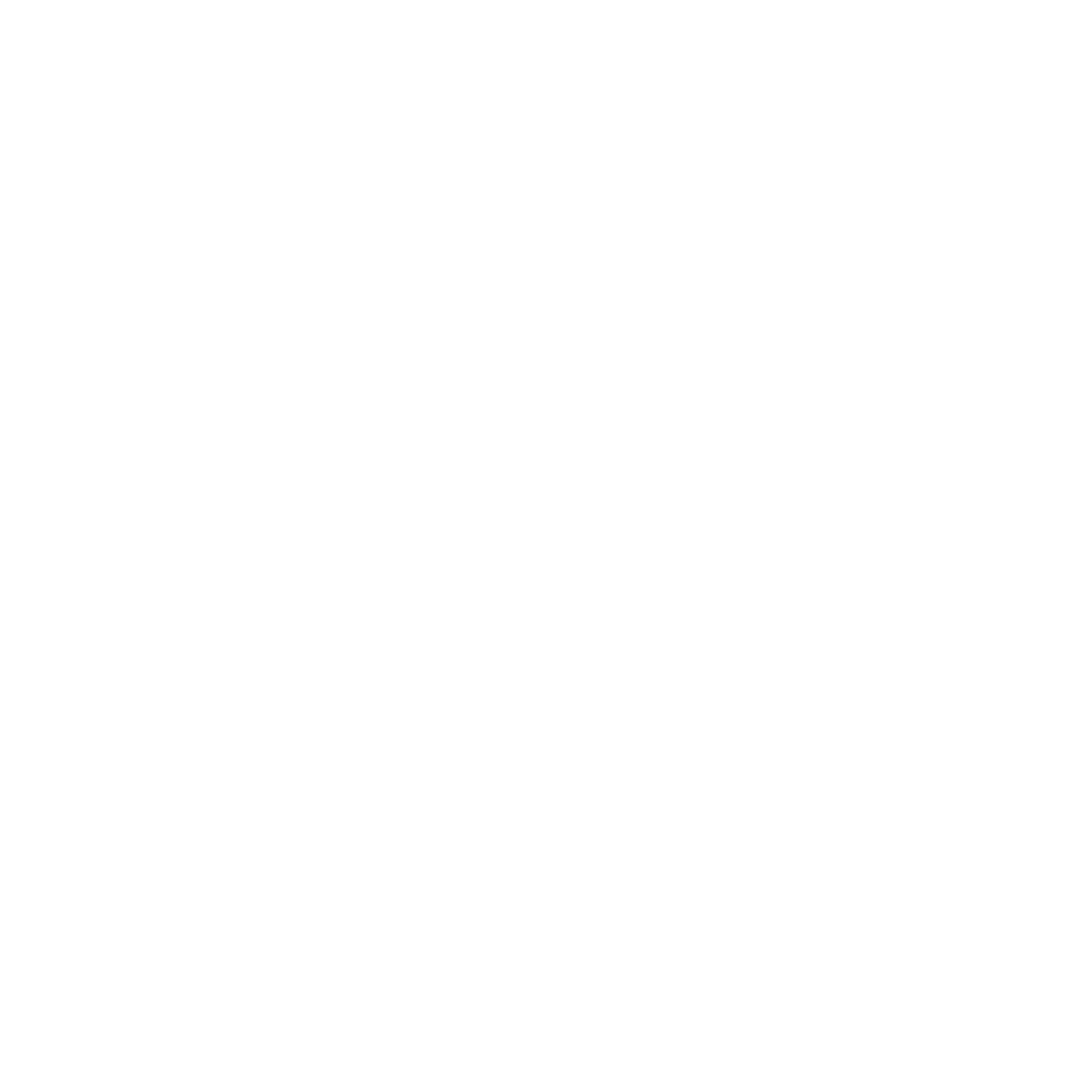 nav nighthawk logo
